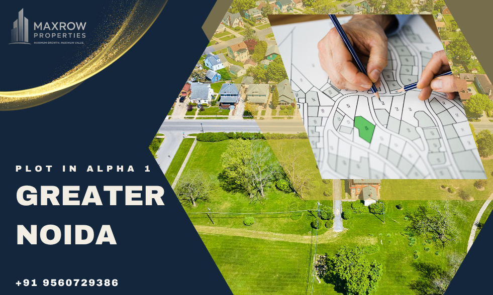 Plot in Alpha 1 Greater Noida – Should You Invest or Not? An Honest Guide
